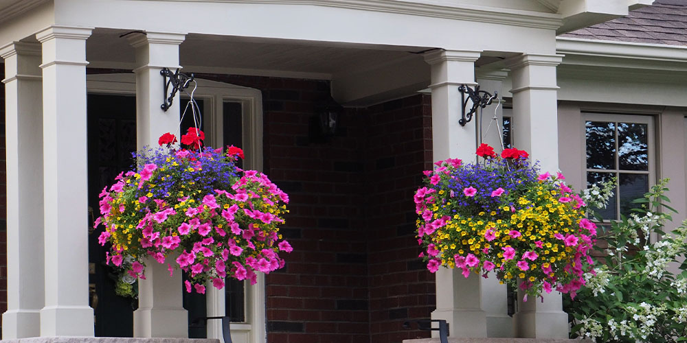 Pine Hills Nursery - Hanging Basket Care-hanging baskets front of house