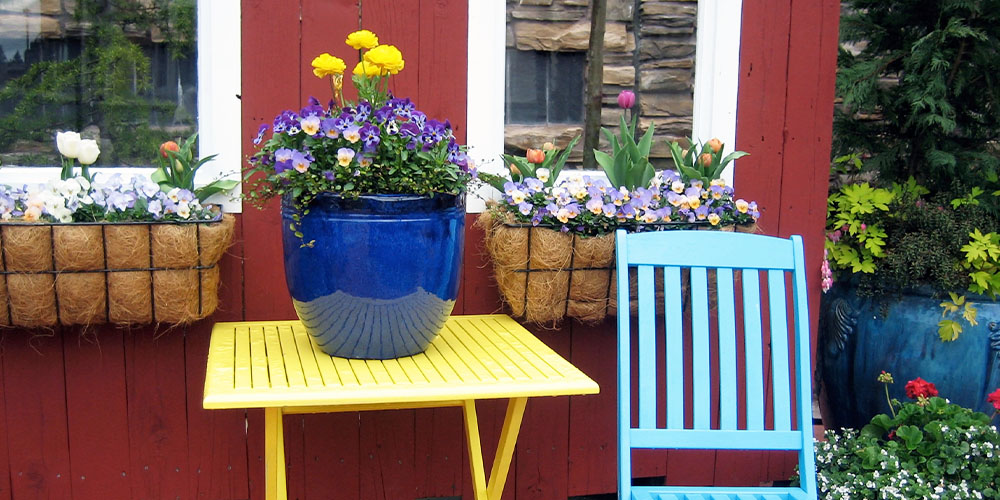 Pine Hills Nursery -Creative Ideas for Container Gardens-container garden on table