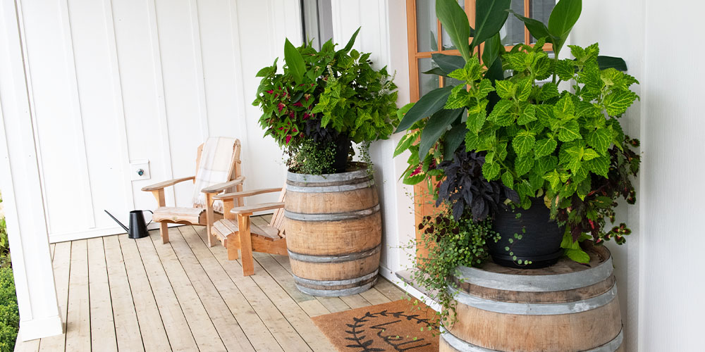 Pine Hills Nursery -Creative Ideas for Container Gardens-wine barrel planter gardens