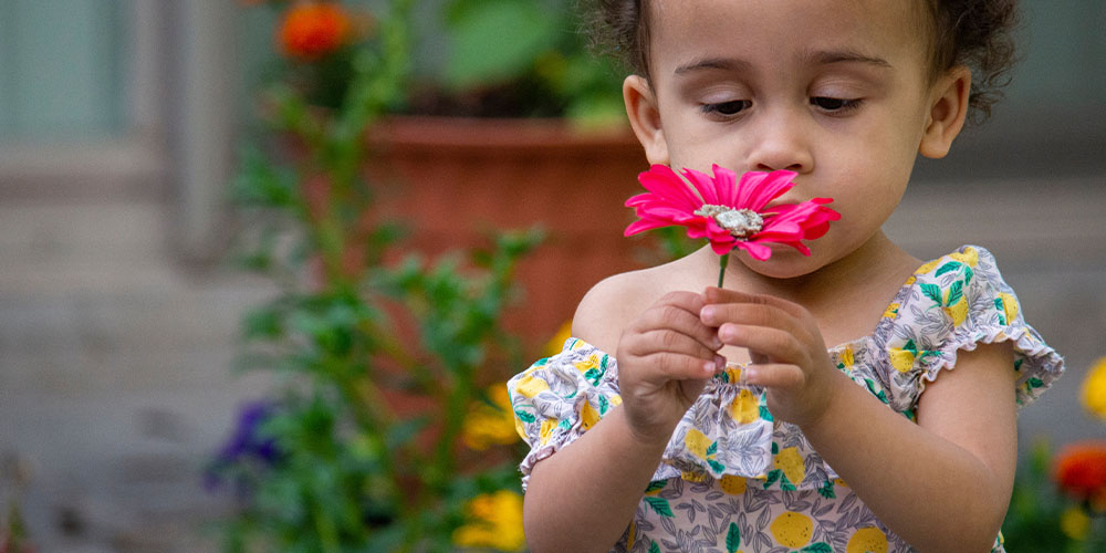 Pine Hills Nursery -Experiencing Nature with Your Kids-child smelling flower