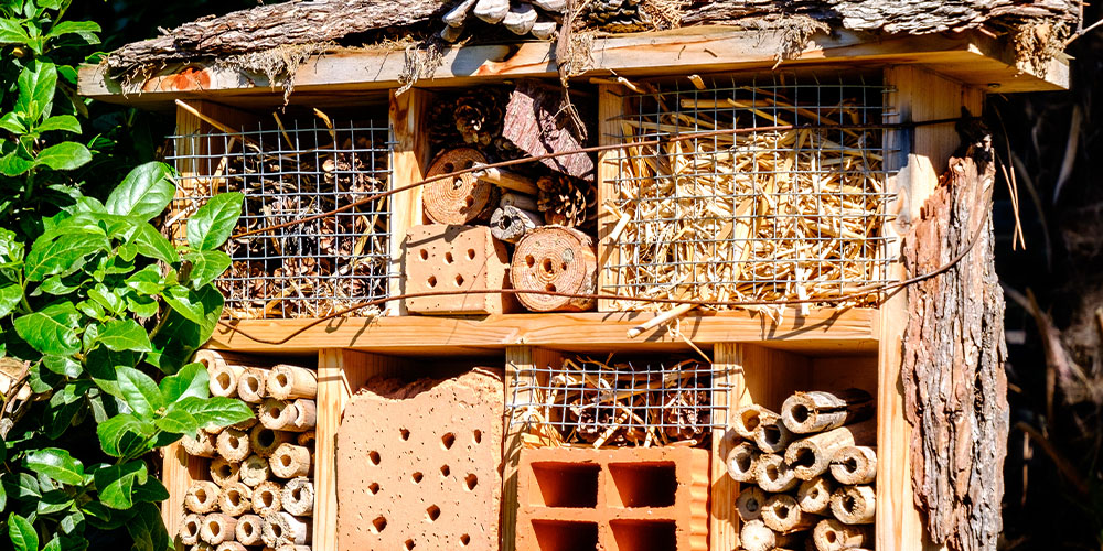 Pine Hills Nursery -Pollinator Friendly Gardening-insect hotel