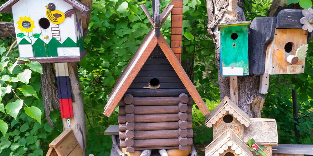 Pine Hills Nursery-Mississippi - Attract Birds to Your Yard With the Kids -assorted bird houses built by kids