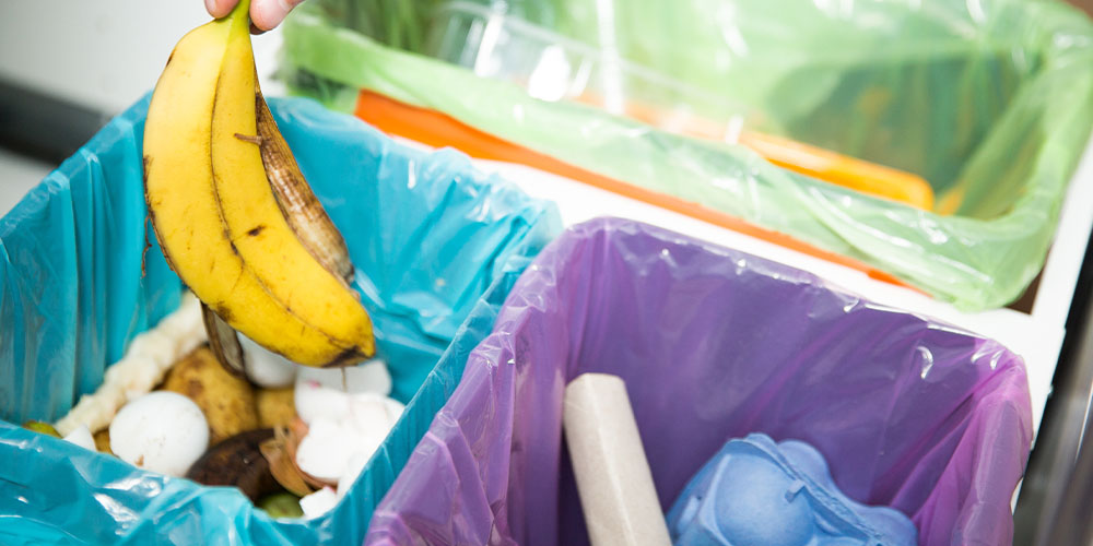 Pine Hills Nursery-Mississippi- How to Compost-compost and recycle bins in kitchen