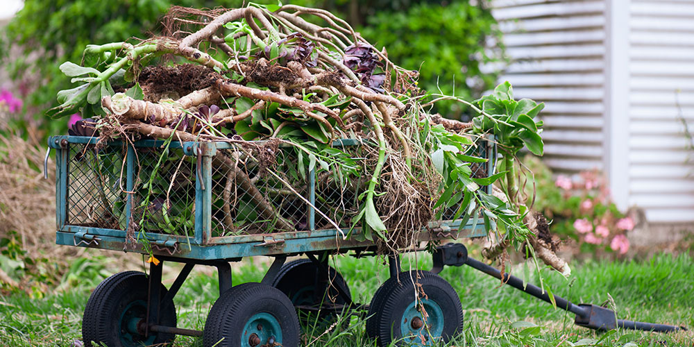 Pine Hills Nursery-Mississippi- How to Compost-wagon full of green compost waste