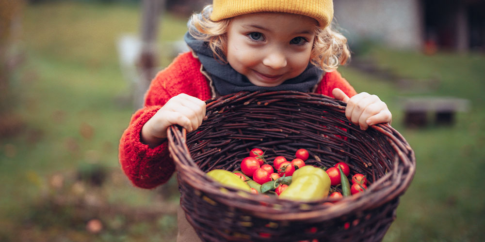 Pine Hills Nursery-Mississippi- How to Design a Kid Friendly Garden-child harvesting tomatoes