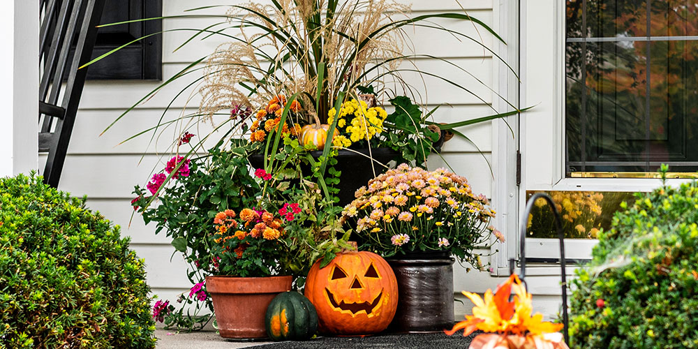 Pine Hills Nursery-Mississippi- Fun Ways to Decorate with Pumpkins-pumpkins and flowers front porch