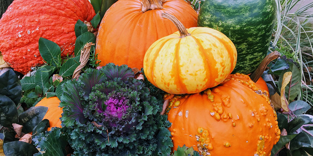 Pine Hills Nursery-Mississippi- Fun Ways to Decorate with Pumpkins-pumpkins in fall planter