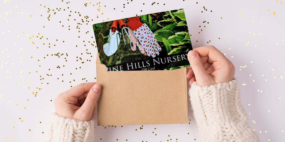 Pine Hills Nursery-Mississippi- Our Favorite Plant Gifts and How to Wrap Them-gift card