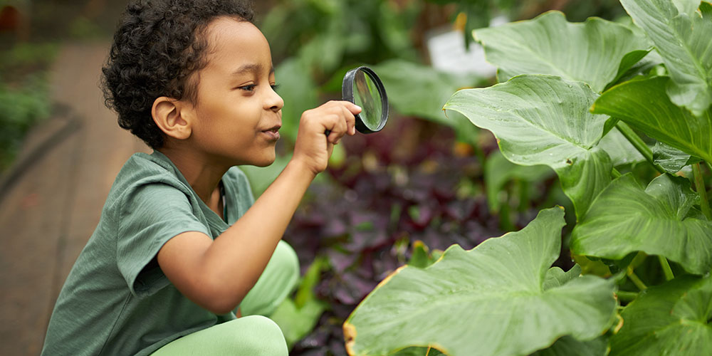 Pine Hills Nursery-Mississippi-How to Get Kids Excited About Veggie Gardening-inspecting leaves