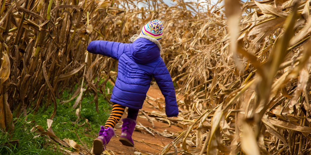 Pine Hills Nursery-Pass Christian-Mississippi-Festive Fall Fun-corn maze adventure