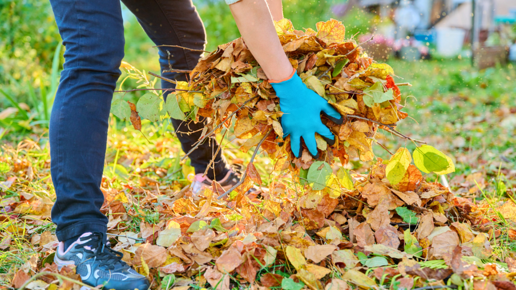 Pine Hills Nursery-Pass Christian-Mississippi-Fall Garden Clean-up Guide-leaf pile