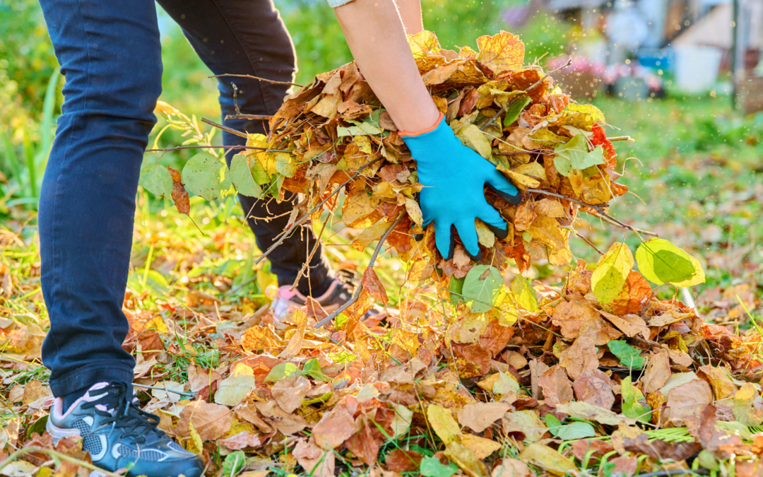 Your Fall Garden Clean-up Guide!