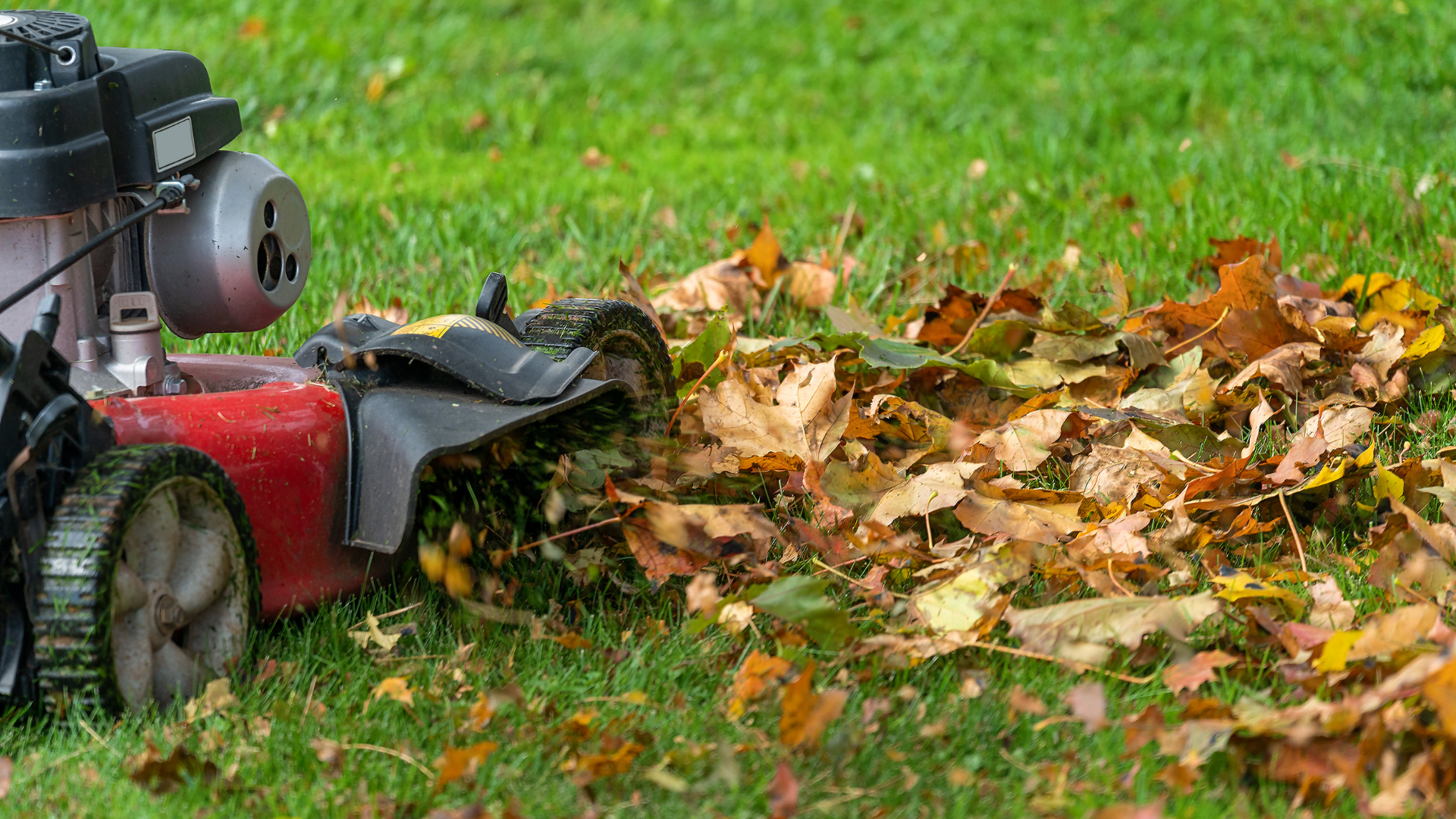 Pine Hills Nursery-Pass Christian-Mississippi-Fall Garden Clean-up Guide-mulching leaves lawn mower