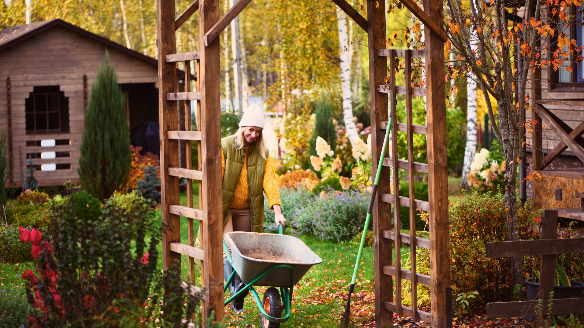Pine Hills Nursery-Pass Christian-Mississippi-Fall Garden Clean-up Guide-wheelbarrow for leaves Pine Hills Nursery-Pass Christian-Mississippi-Fall Garden Clean-up Guide-wheelbarrow for leaves