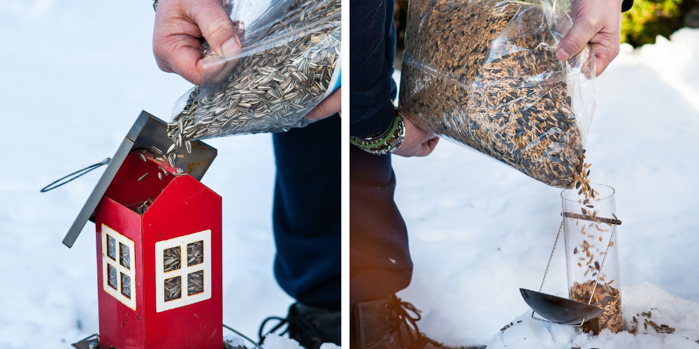 Pine Hills Nursery-Pass Christian-Mississippi-How to Feed Birds Over Winter-filling bird feeders