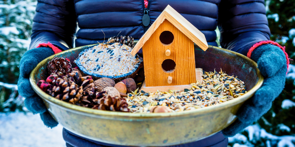 Pine Hills Nursery-Pass Christian-Mississippi-How to Feed Birds Over Winter-suet feeding